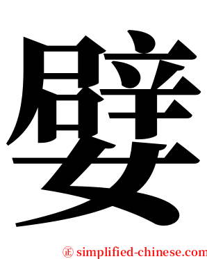 嬖 serif font