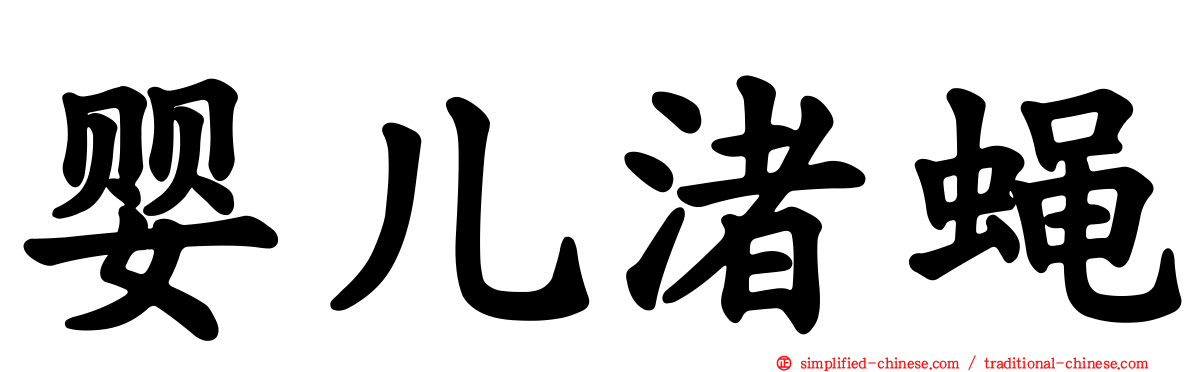 婴儿渚蝇