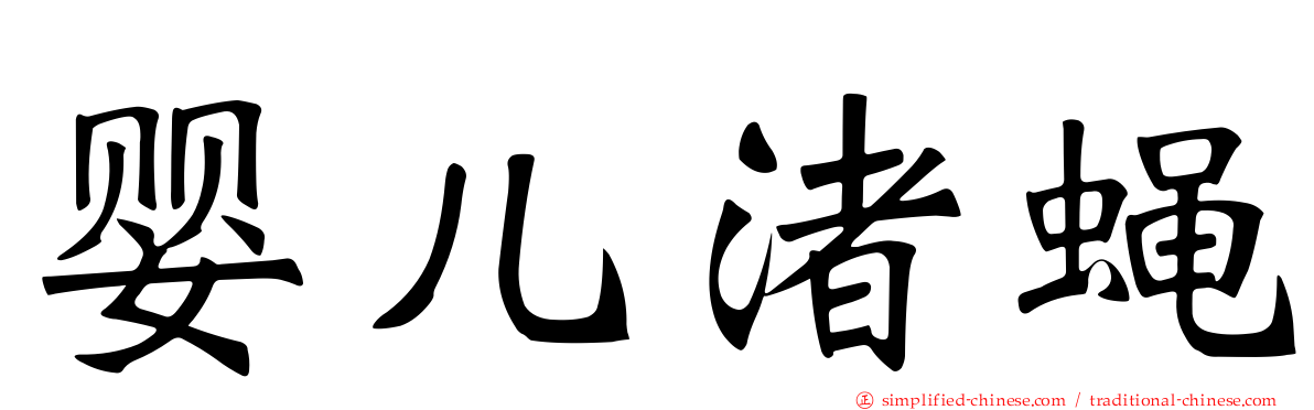 婴儿渚蝇