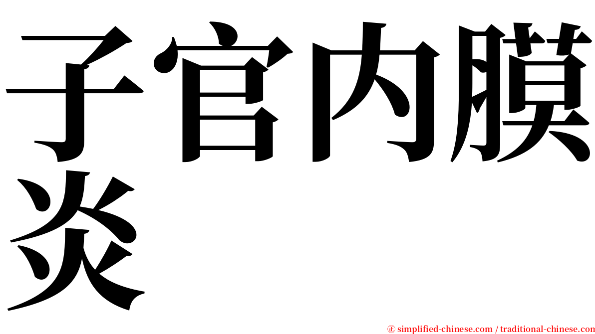 子官内膜炎 serif font