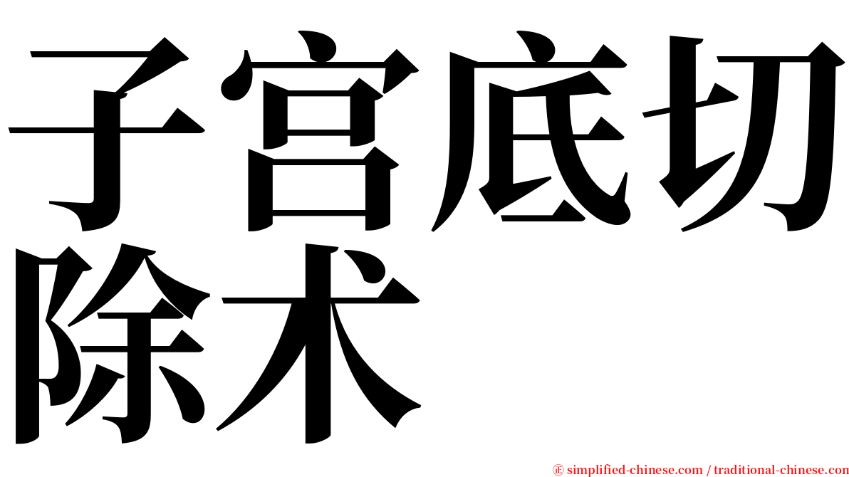 子宫底切除术 serif font