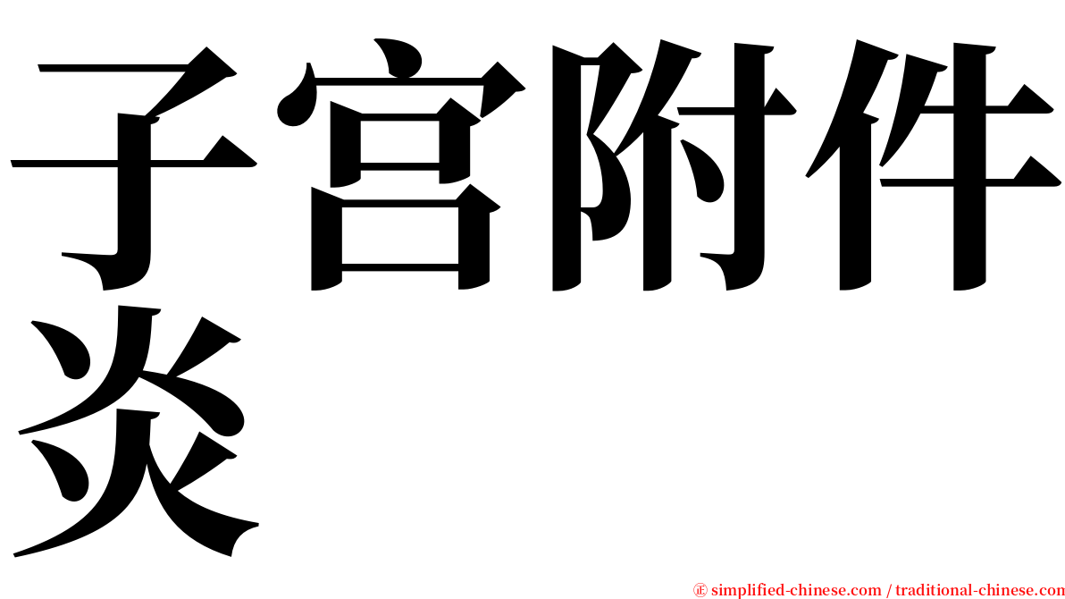 子宫附件炎 serif font