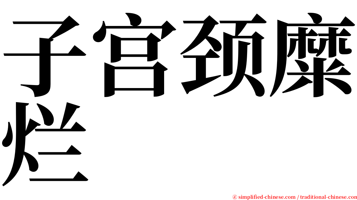子宫颈糜烂 serif font