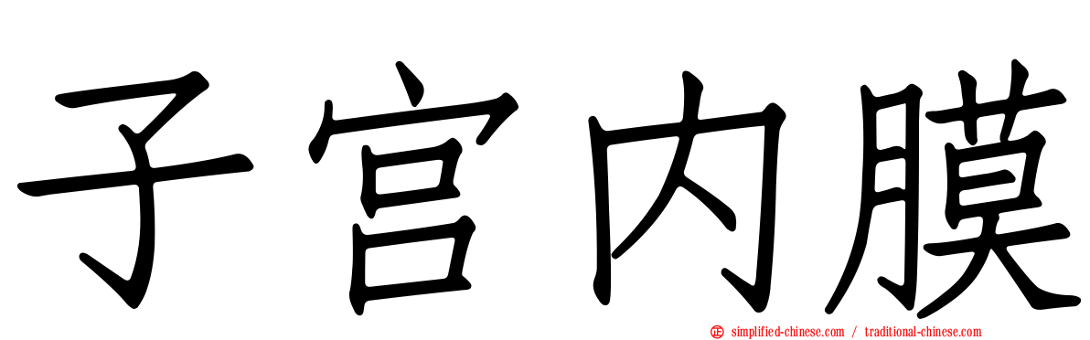 子宫内膜