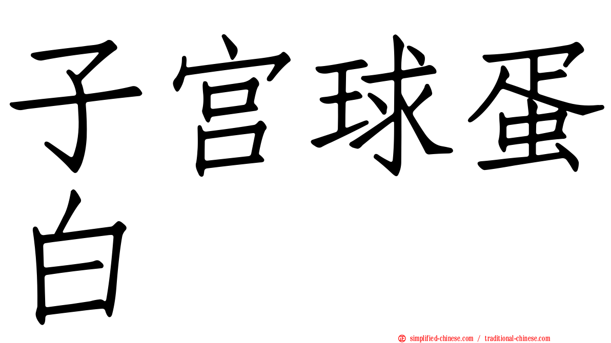 子宫球蛋白