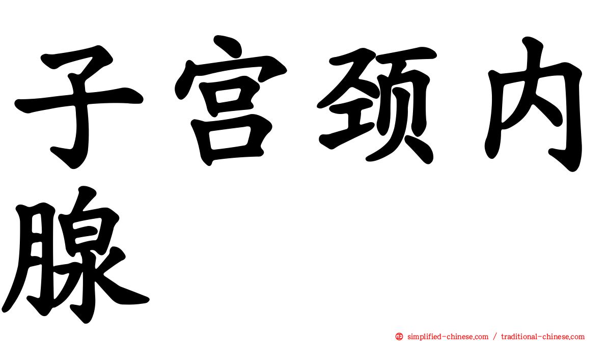 子宫颈内腺