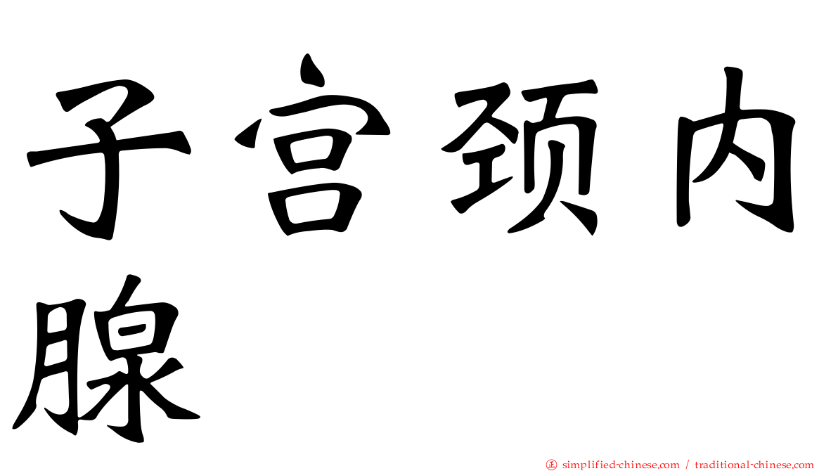 子宫颈内腺
