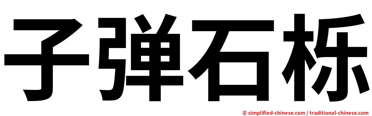 子弹石栎