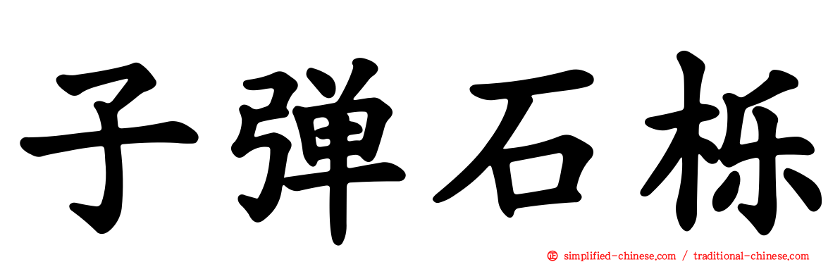 子弹石栎