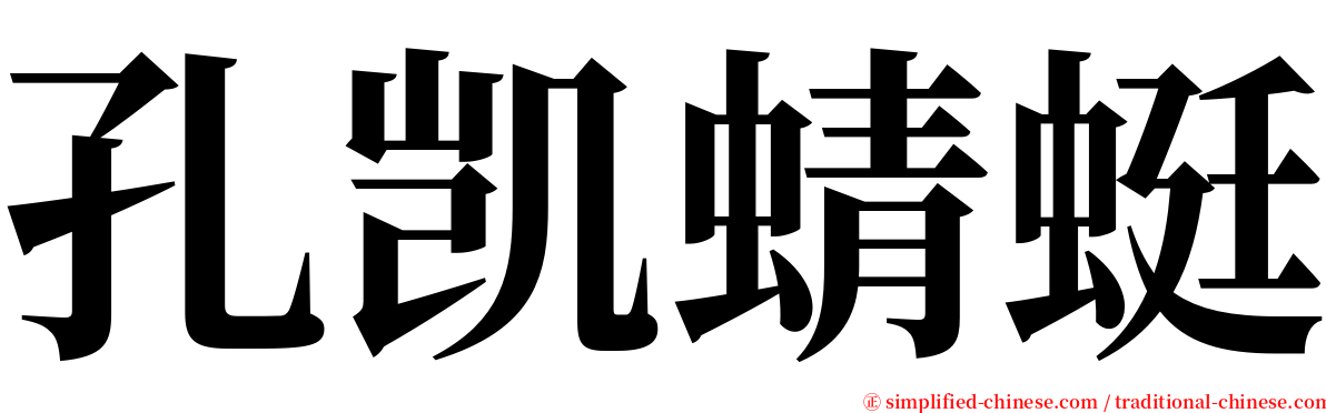 孔凯蜻蜓 serif font