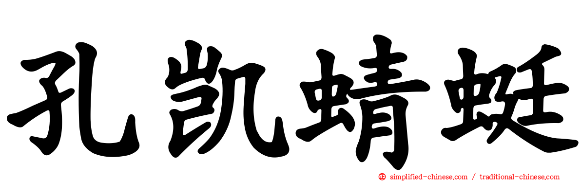 孔凯蜻蜓