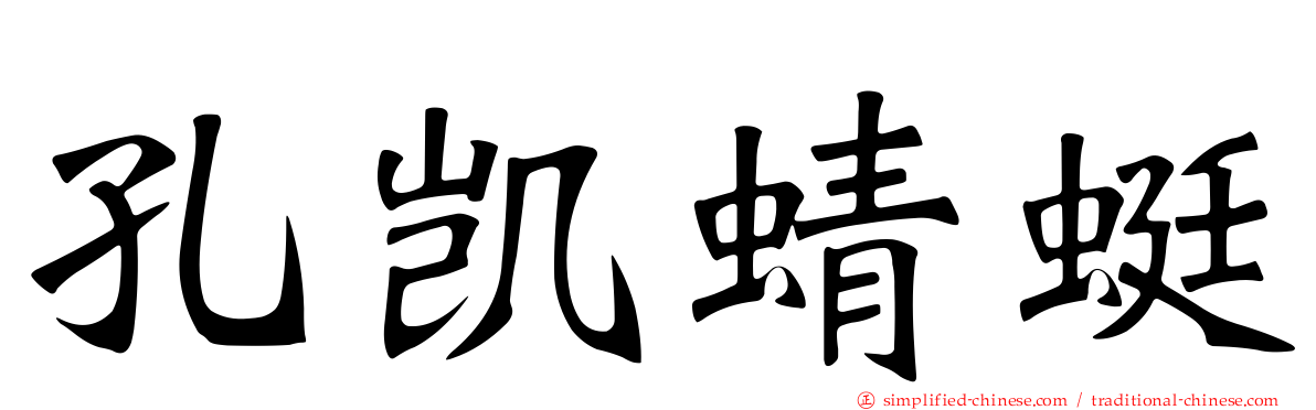 孔凯蜻蜓