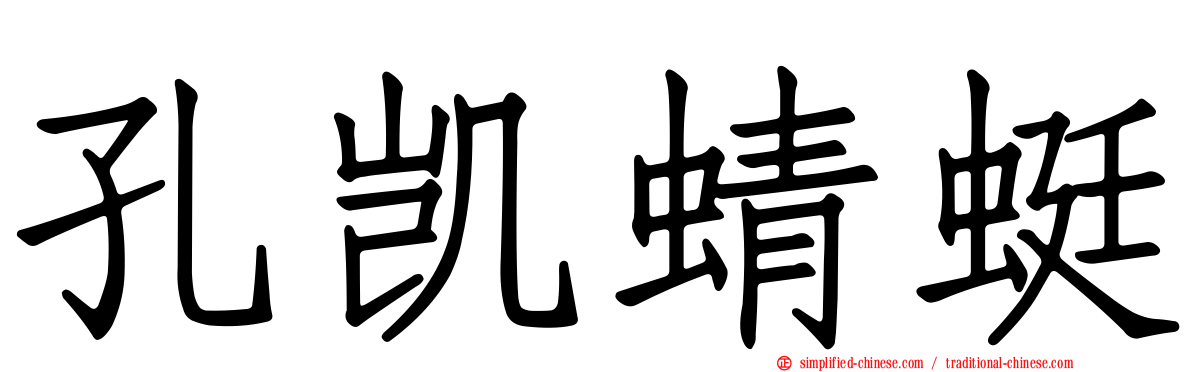 孔凯蜻蜓