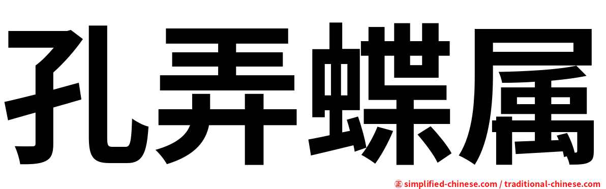 孔弄蝶属