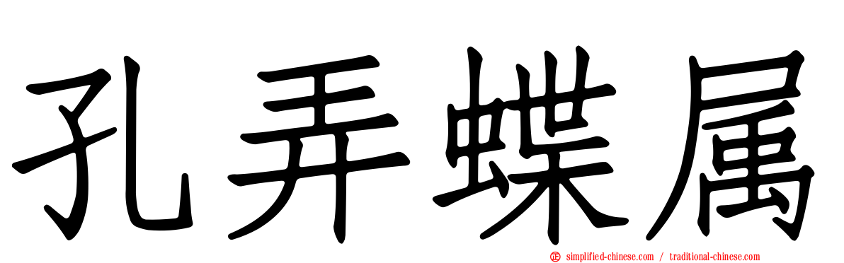 孔弄蝶属