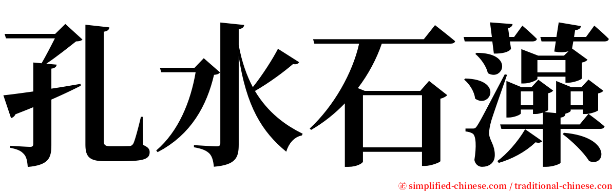 孔水石藻 serif font
