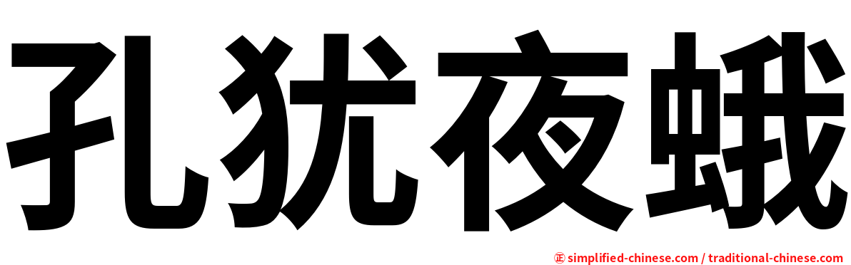 孔犹夜蛾