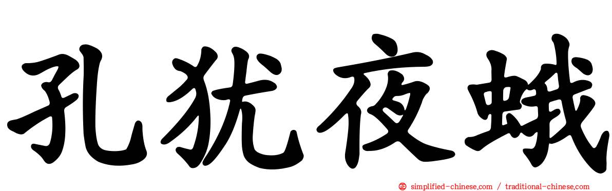 孔犹夜蛾