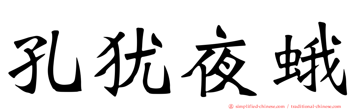孔犹夜蛾