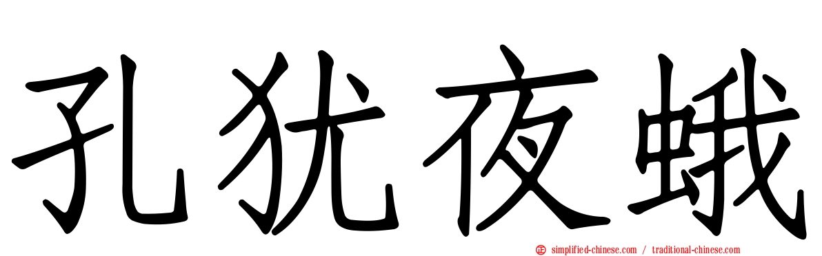 孔犹夜蛾