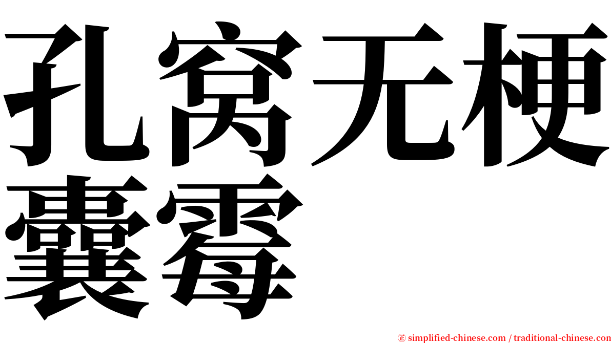 孔窝无梗囊霉 serif font