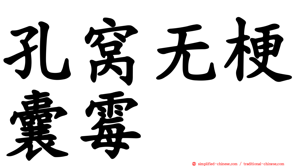 孔窝无梗囊霉