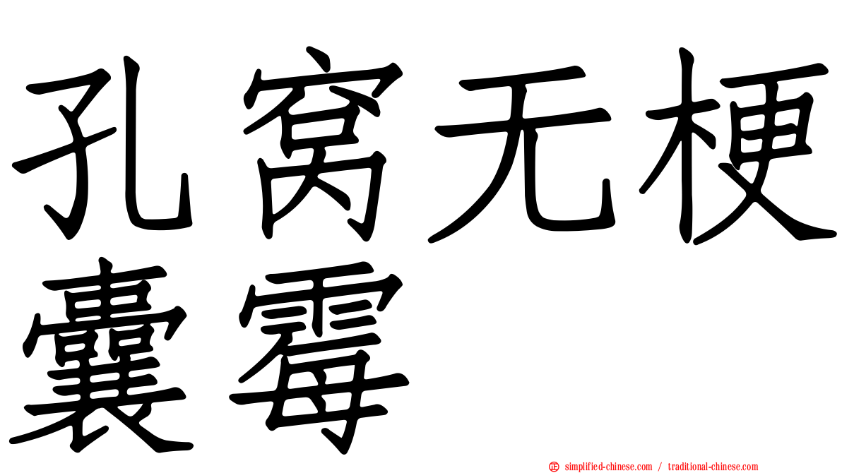 孔窝无梗囊霉