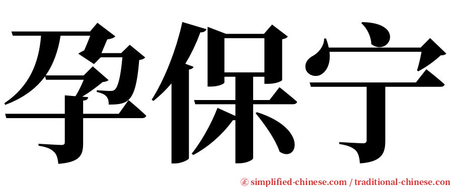 孕保宁 serif font
