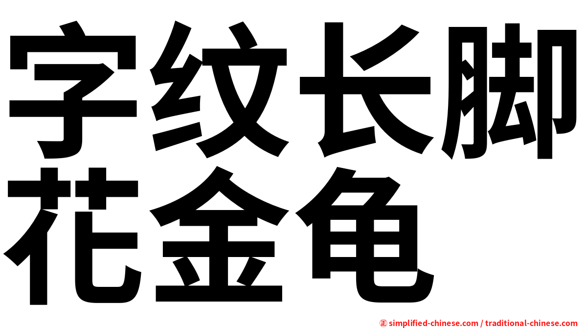 字纹长脚花金龟