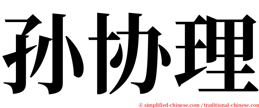 孙协理 serif font