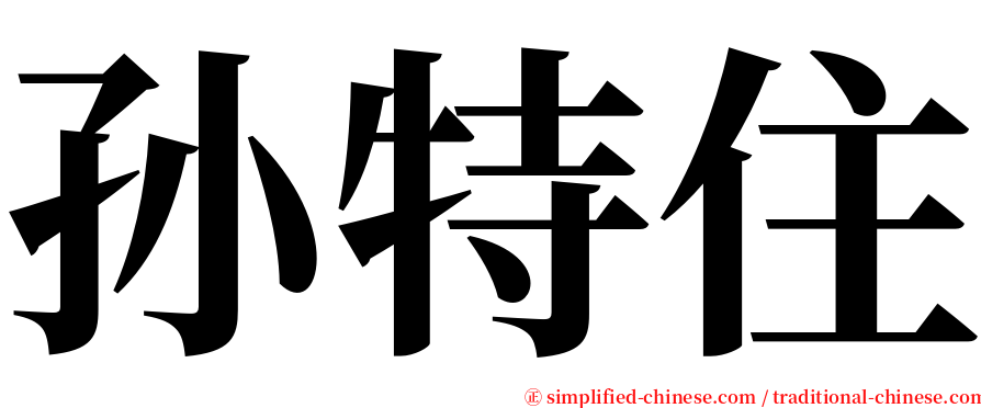 孙特住 serif font