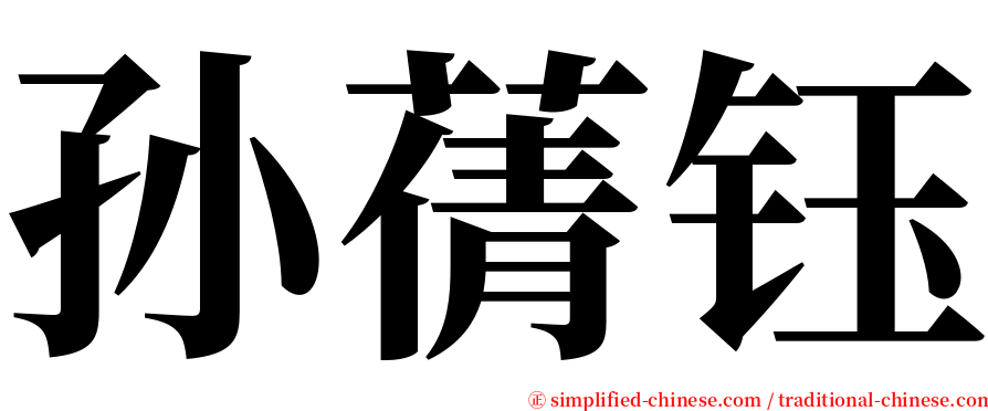孙蒨钰 serif font