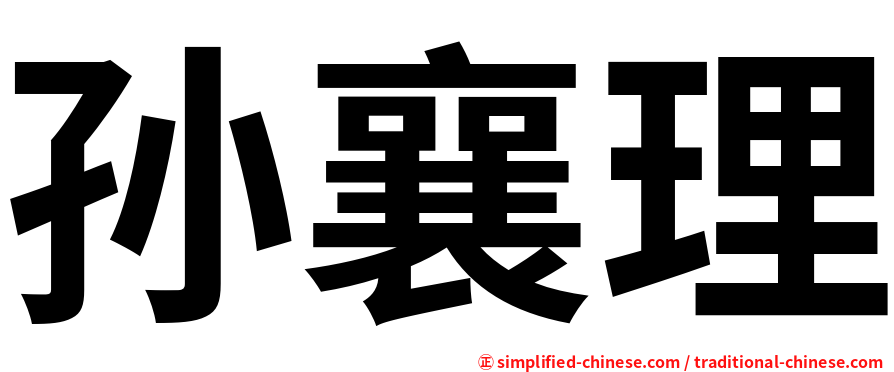孙襄理