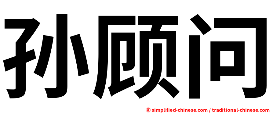 孙顾问