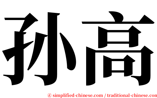 孙高 serif font