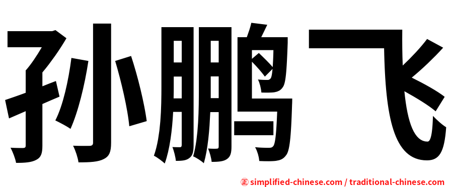 孙鹏飞