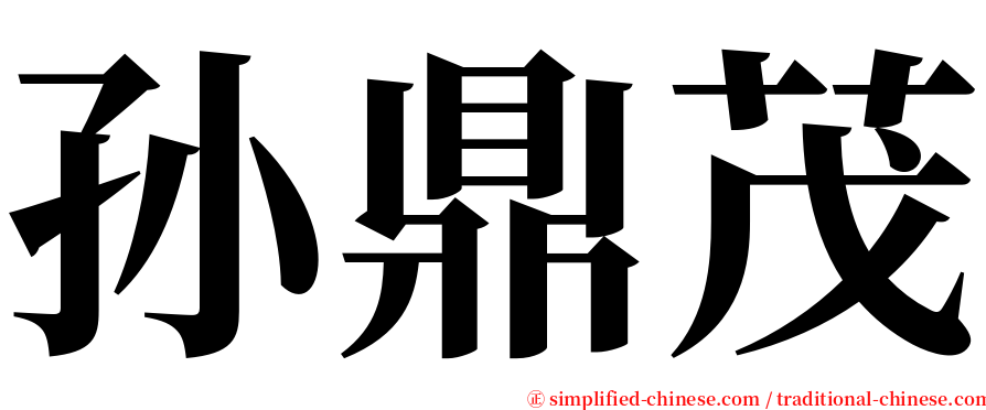 孙鼎茂 serif font