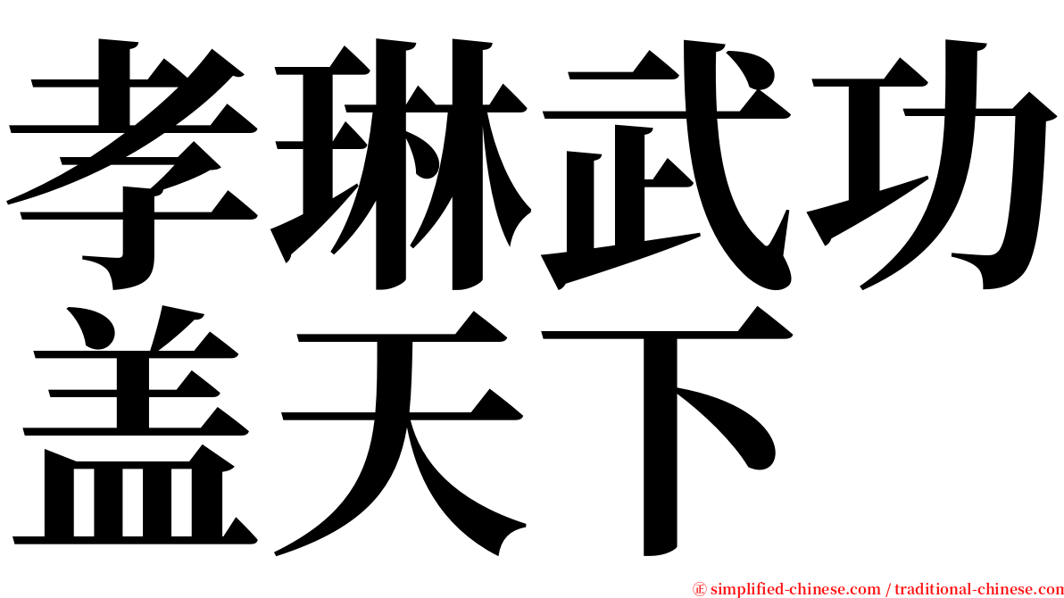 孝琳武功盖天下 serif font