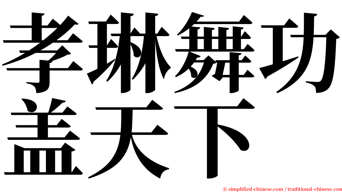 孝琳舞功盖天下 serif font