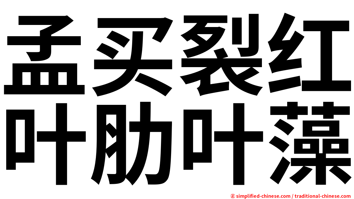 孟买裂红叶肋叶藻