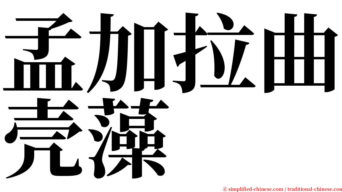 孟加拉曲壳藻 serif font