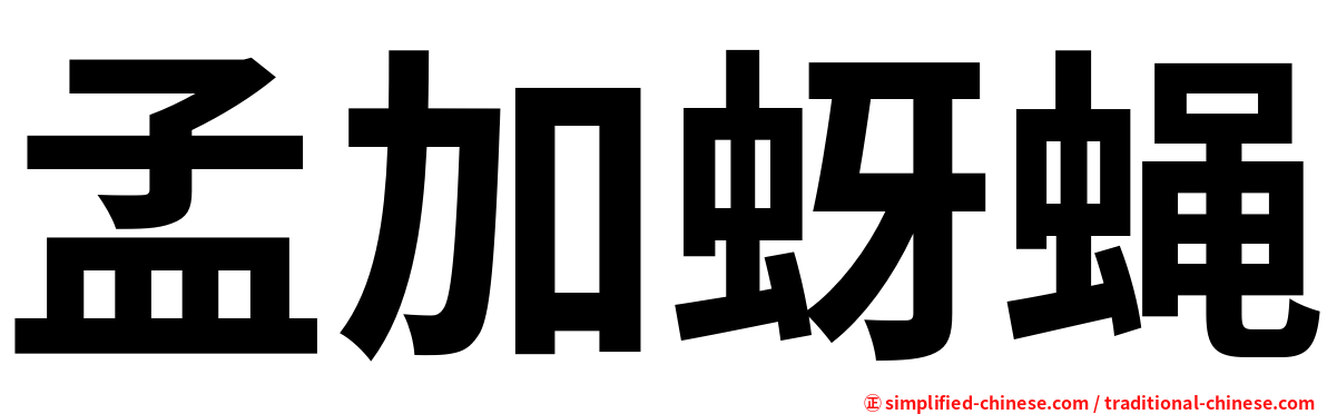 孟加蚜蝇