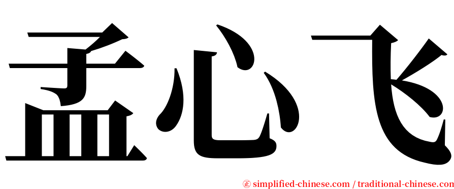 孟心飞 serif font