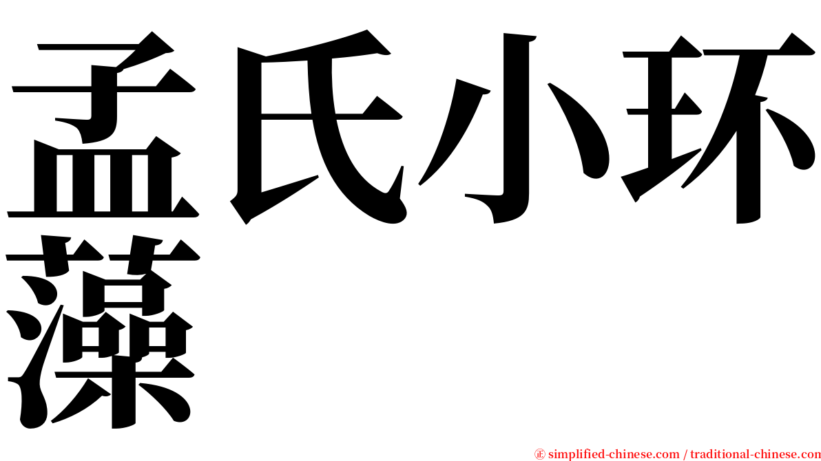 孟氏小环藻 serif font