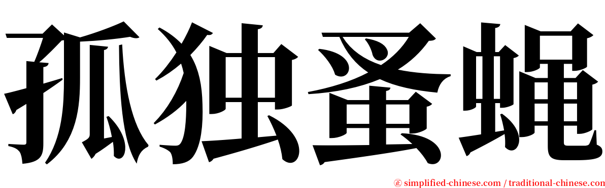 孤独蚤蝇 serif font