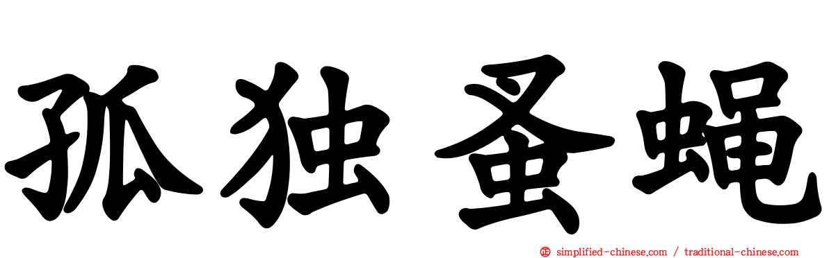 孤独蚤蝇