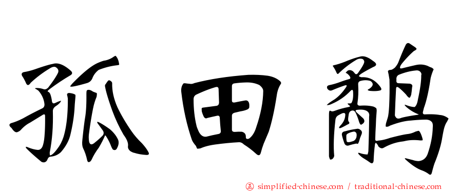 孤田鹬