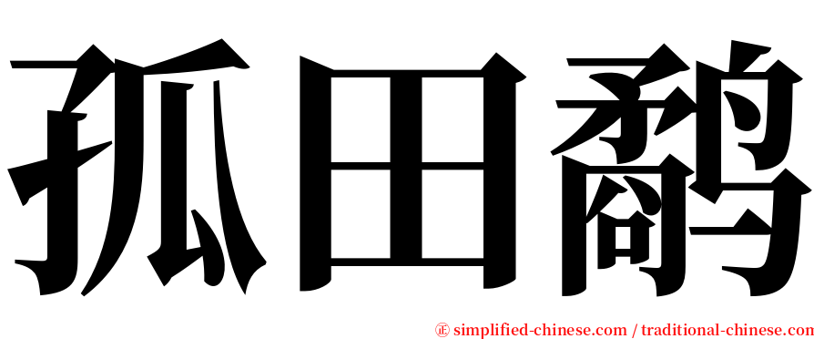 孤田鹬 serif font