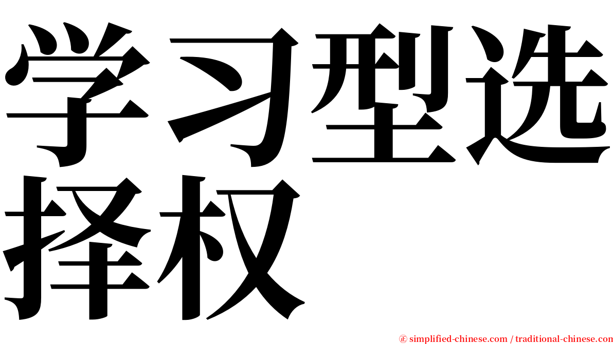 学习型选择权 serif font