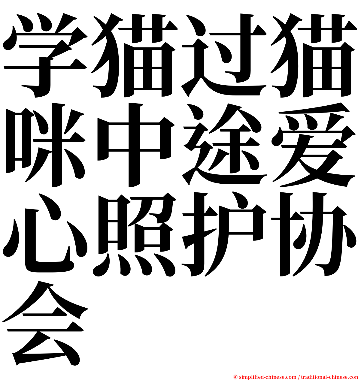 学猫过猫咪中途爱心照护协会 serif font